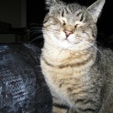 Entry image for Marlee