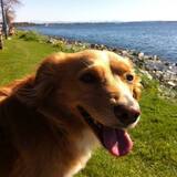 Entry image for Abbey