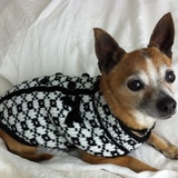 Entry image for Cheri