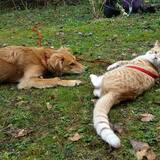 Entry image for Casey