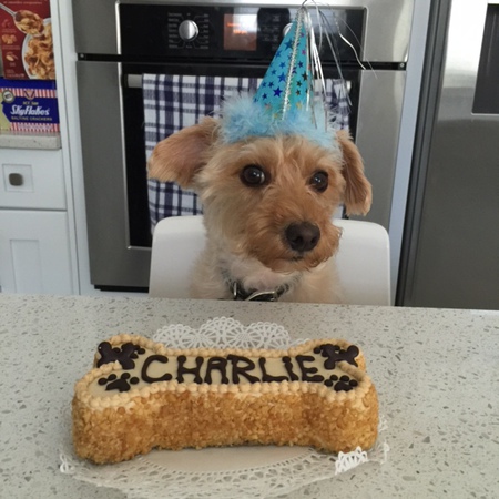 Entry image for Charlie. Clicking this image will show a larger photo