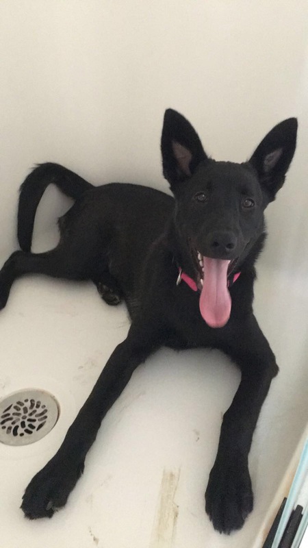 Entry image for Kaia. Clicking this image will show a larger photo