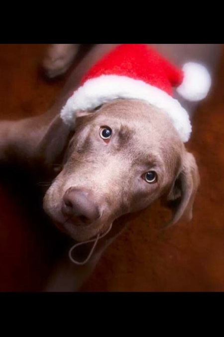 Entry image for Kyah. Clicking this image will show a larger photo