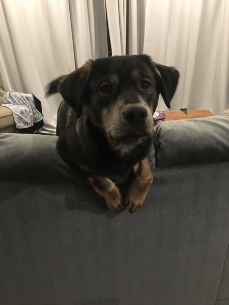 Entry image for Walter Olynyk. Clicking this image will show a larger photo