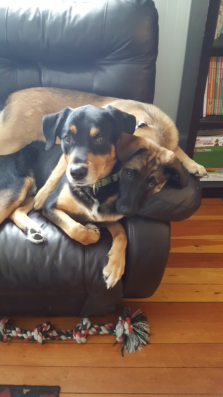 Entry image for Rex and Korra. Clicking this image will show a larger photo