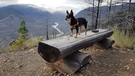 Entry image for Max. Clicking this image will show a larger photo