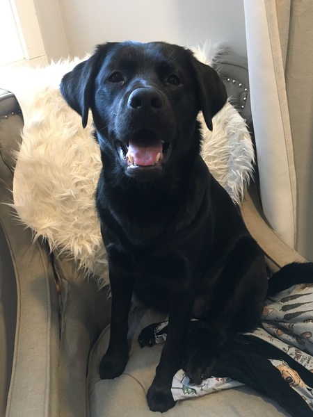 Entry image for Beans Olynyk. Clicking this image will show a larger photo