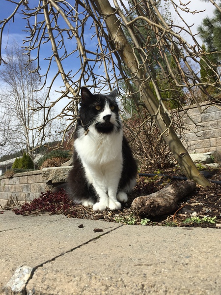 Entry image for B.W. Clicking this image will show a larger photo