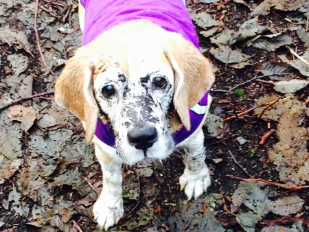 Entry image for Carrie. Clicking this image will show a larger photo