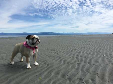 Entry image for Nora. Clicking this image will show a larger photo