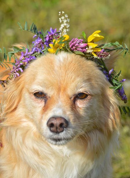 Entry image for Brandi . Clicking this image will show a larger photo