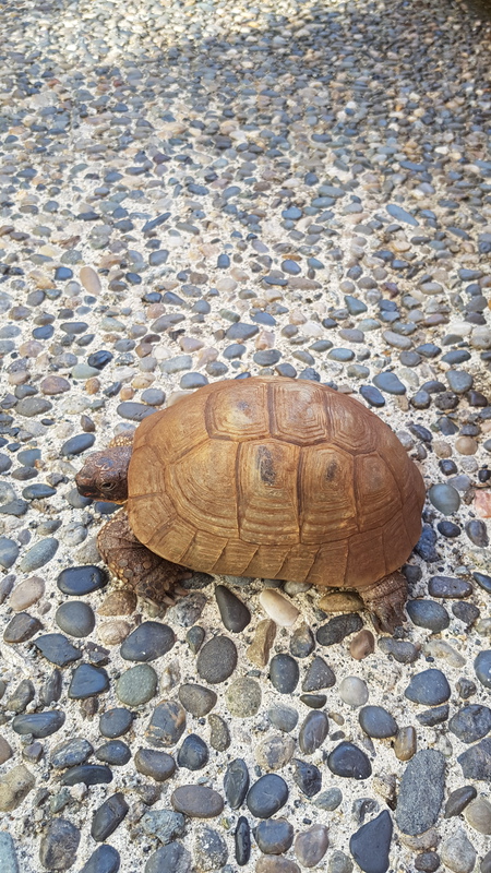 Entry image for Darwin. Clicking this image will show a larger photo