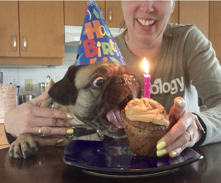 Entry image for Chloe. Clicking this image will show a larger photo