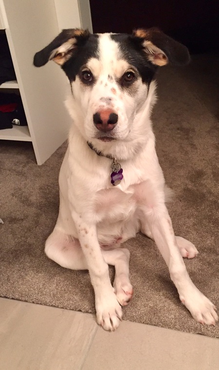 Entry image for Jersey. Clicking this image will show a larger photo