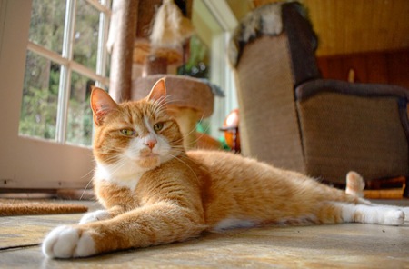 Entry image for Tom. Clicking this image will show a larger photo