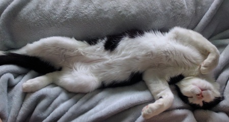 Entry image for Hunter. Clicking this image will show a larger photo