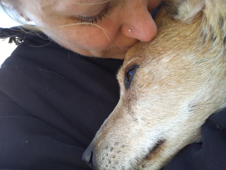 Entry image for Mikal. Clicking this image will show a larger photo