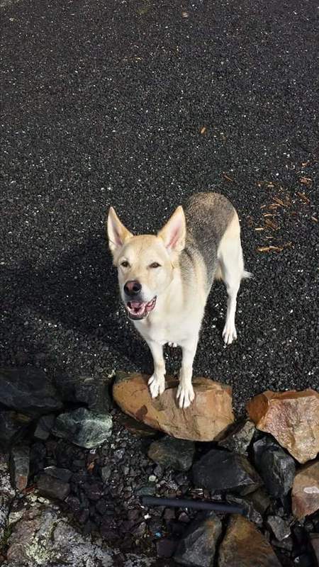 Entry image for Nikita. Clicking this image will show a larger photo