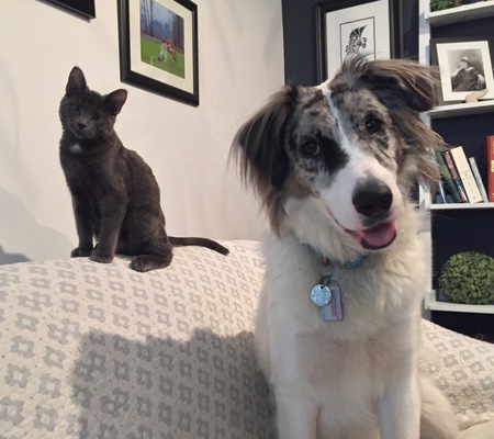 Entry image for Benny & Jet. Clicking this image will show a larger photo