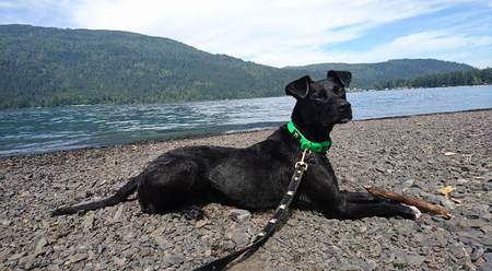 Entry image for Dallas. Clicking this image will show a larger photo