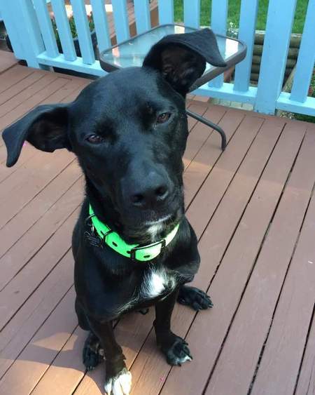 Entry image for Dallas. Clicking this image will show a larger photo