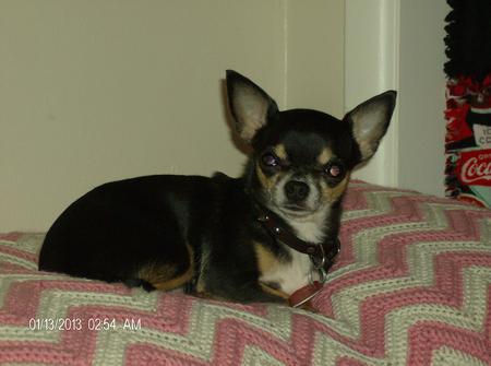 Entry image for 2D. Clicking this image will show a larger photo