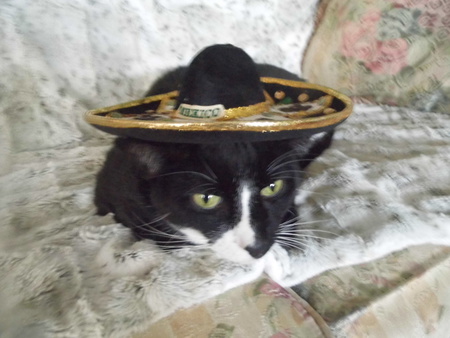 Entry image for Wellington BOOTS. Clicking this image will show a larger photo