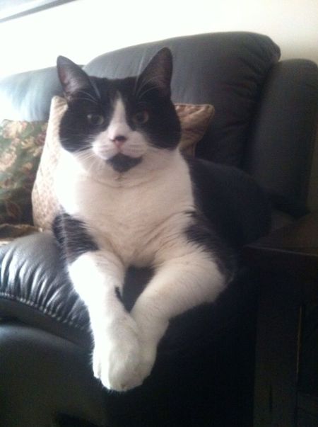 Entry image for Mercedes. Clicking this image will show a larger photo