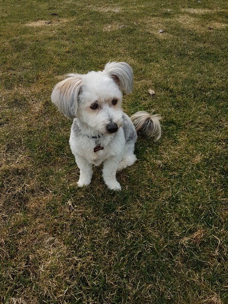 Entry image for Hamish. Clicking this image will show a larger photo