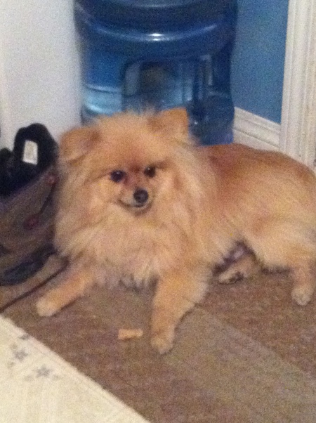 Entry image for fatman. Clicking this image will show a larger photo