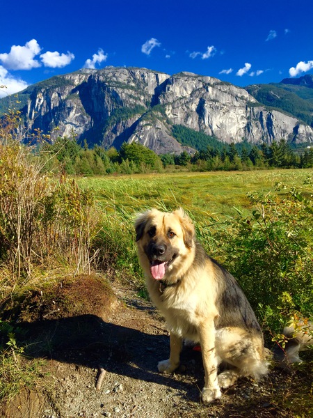 Entry image for Atlas. Clicking this image will show a larger photo