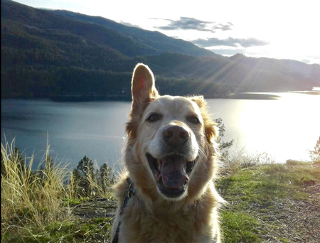 Entry image for O.D.. Clicking this image will show a larger photo