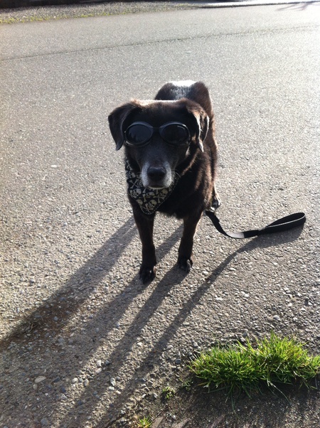 Entry image for Sealy. Clicking this image will show a larger photo