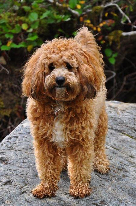 Entry image for Brandi. Clicking this image will show a larger photo