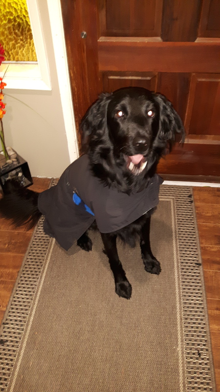 Entry image for Keeta. Clicking this image will show a larger photo