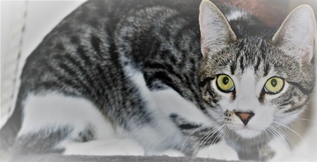 Entry image for Antonio. Clicking this image will show a larger photo