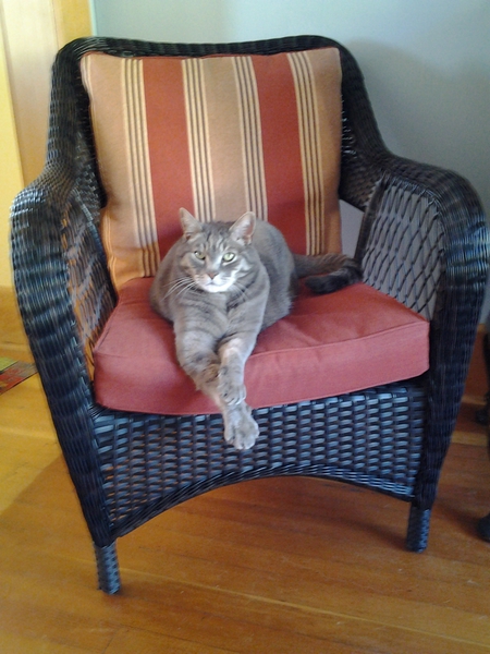 Entry image for INDY. Clicking this image will show a larger photo