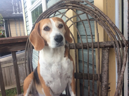 Entry image for Molson. Clicking this image will show a larger photo