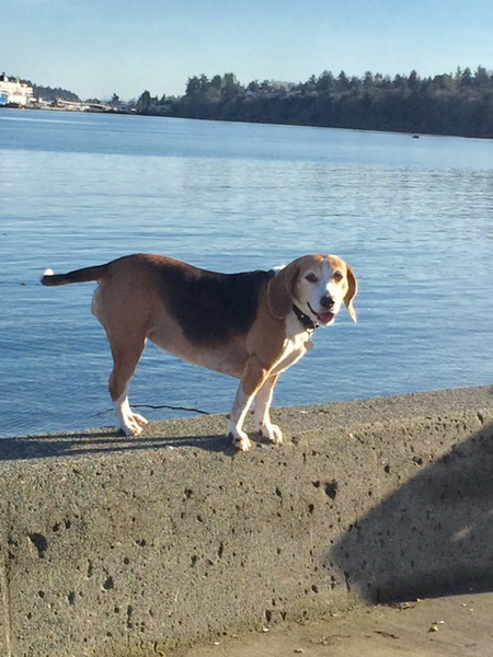 Entry image for Molson . Clicking this image will show a larger photo