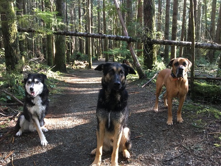 Entry image for Mac, Larry, & Herc. Clicking this image will show a larger photo