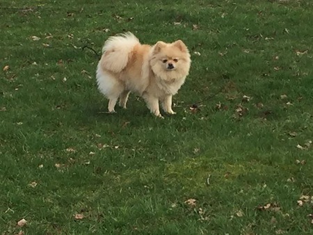 Entry image for Keisha. Clicking this image will show a larger photo