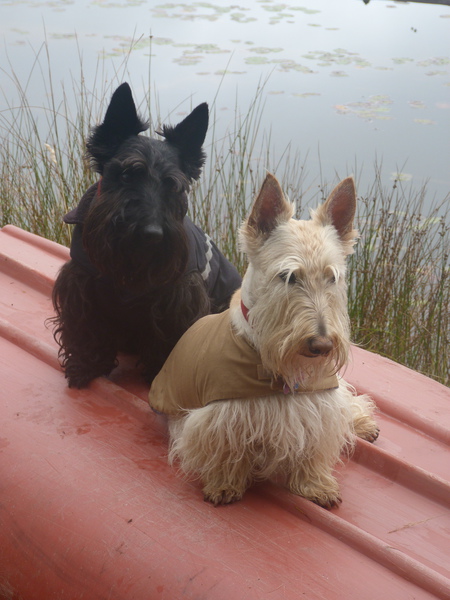 Entry image for Bart and Tara. Clicking this image will show a larger photo