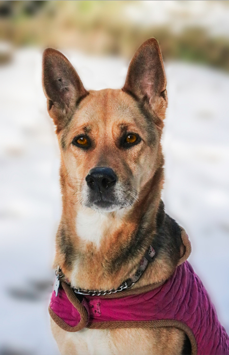 Entry image for Lexi. Clicking this image will show a larger photo