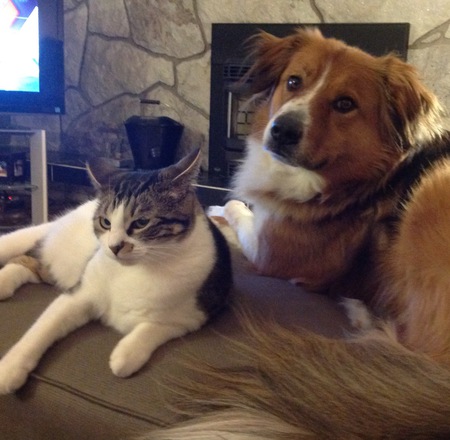 Entry image for Lexi and Shelby. Clicking this image will show a larger photo