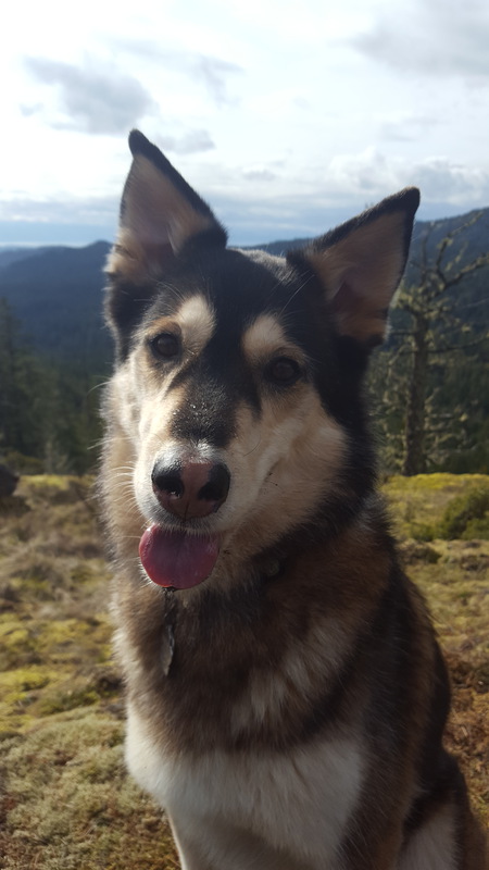 Entry image for Zeki. Clicking this image will show a larger photo