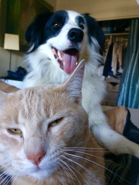 Entry image for Jimmy . Clicking this image will show a larger photo