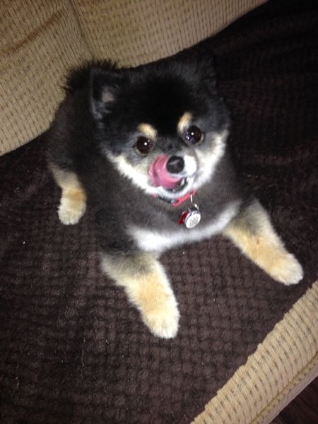 Entry image for Cinder. Clicking this image will show a larger photo