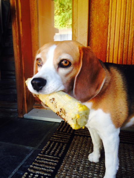 Entry image for Betty. Clicking this image will show a larger photo