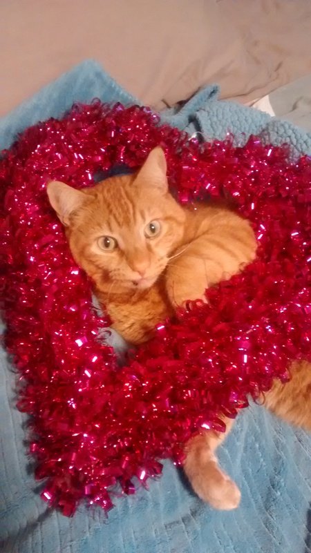 Entry image for Magnus Maximus. Clicking this image will show a larger photo