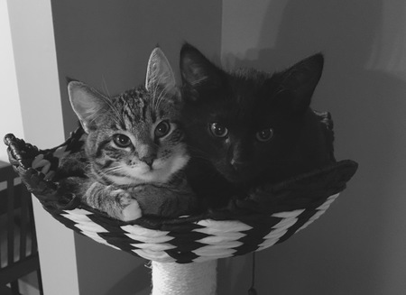 Entry image for Osuna & Beasley. Clicking this image will show a larger photo